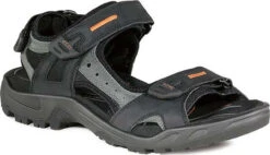 Front Page -Shoe Store ecco mens yucatan sandal black mole 06956450034 66843.1624471220