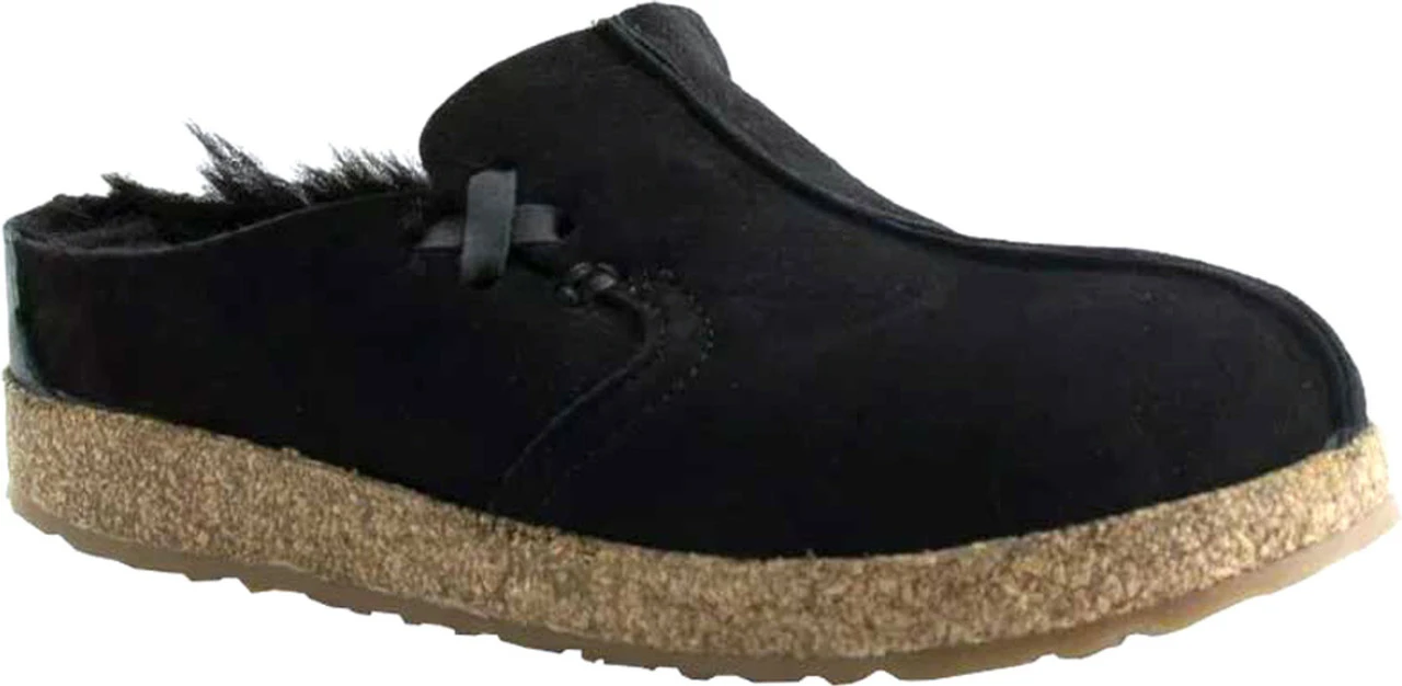 Haflinger Saskatchewan 1 Haflinger Saskatchewan