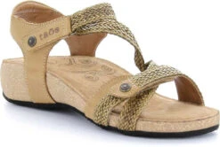 Taos Trulie -Shoe Store taos women trulie camel tru 16406 cml 79327.1682088053