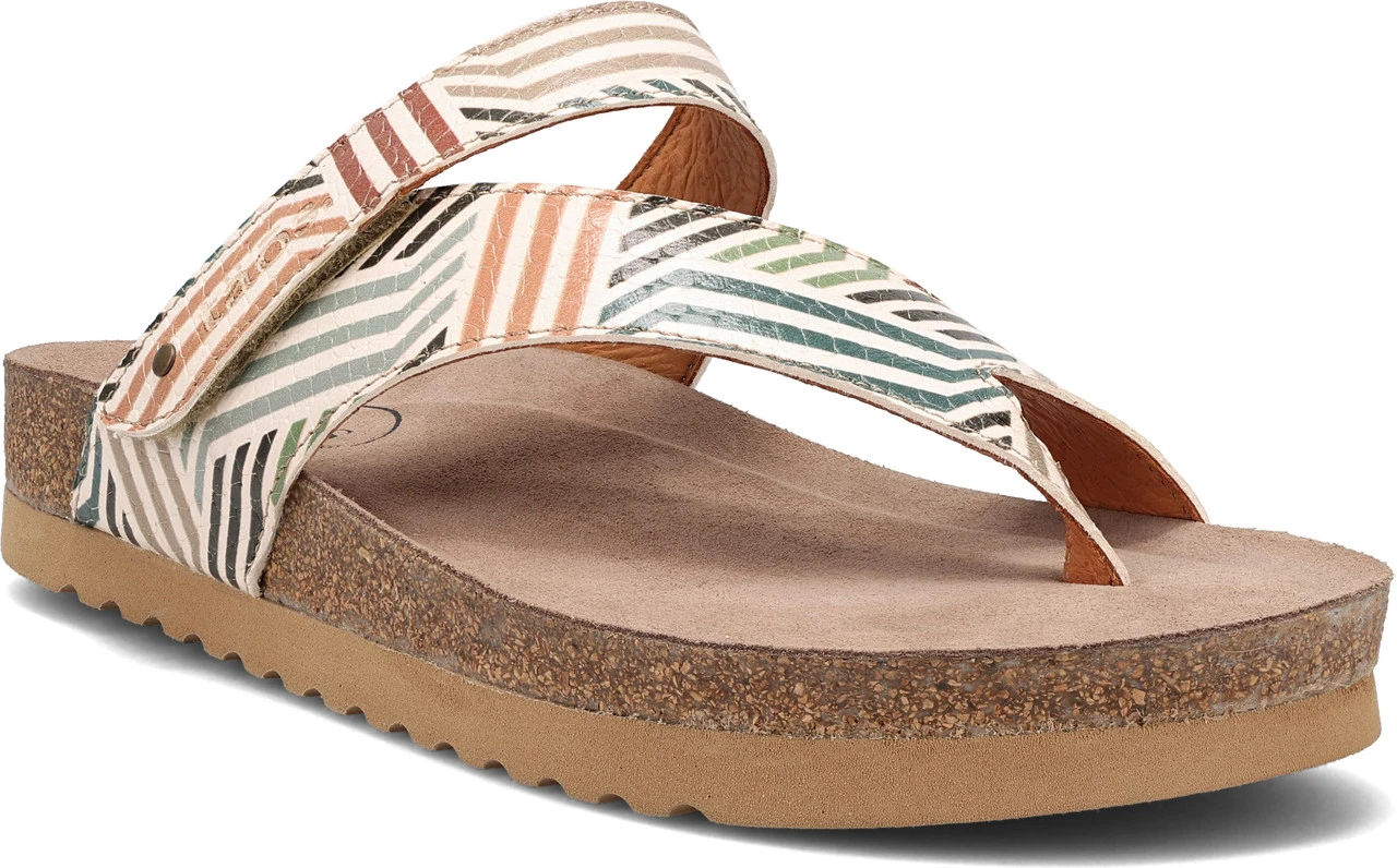 Taos Lola 2 Taos Lola - Image 2