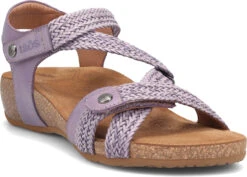 Taos Trulie -Shoe Store taos womens trulie lavender tru 16406 lav 38548.1682088054